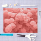 Hydrangeas Coral White エレガントヴィンテージフローラ 薄葉紙 (クラフト)