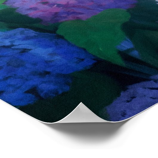 Hydrangeas Print ポスター (角)