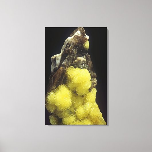 Hydroboracite on Gorigyite，カザフスタン キャンバスプリント (正面)