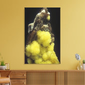 Hydroboracite on Gorigyite，カザフスタン キャンバスプリント (インサイチュ (リビング))