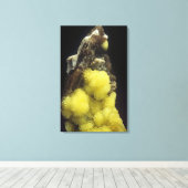 Hydroboracite on Gorigyite，カザフスタン キャンバスプリント (インサイチュ (ウッドフロア))