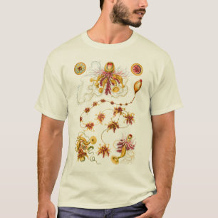 Hydrozoan -クダクラゲ tシャツ