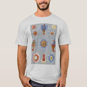 Hydrozoan -クダクラゲ tシャツ
