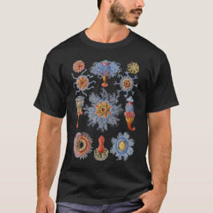 Hydrozoan -クダクラゲ tシャツ