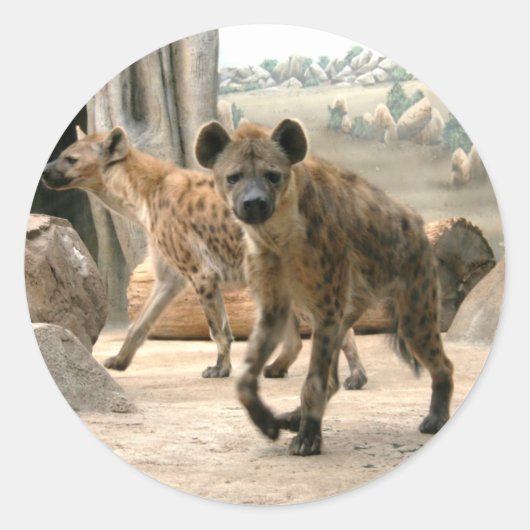 Hyenaがステッカーを見る ラウンドシール (正面)