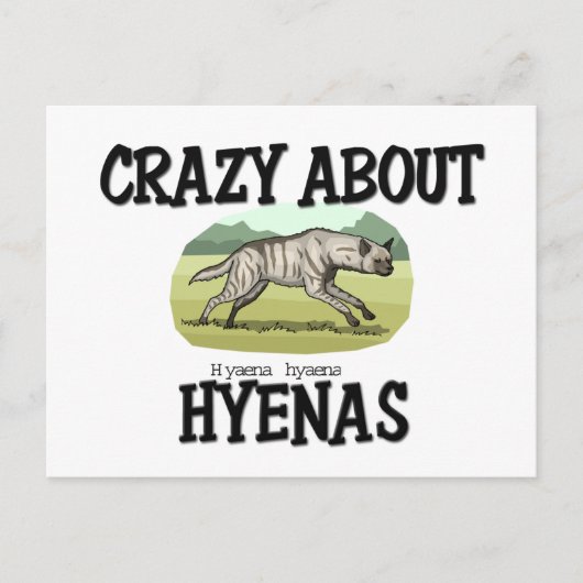 Hyenas熱狂するについて ポストカード (正面)