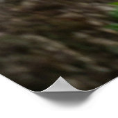 Hyena's Bliss Captured Nature'sスマイル ポスター (角)