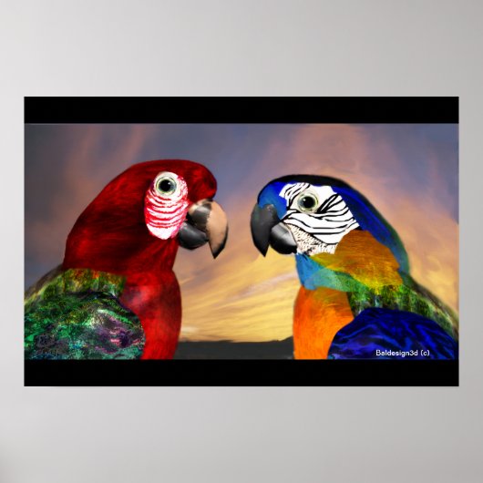 HYPER PARROTS / RED AND BLUE ARA ポスター (正面)