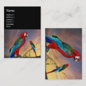 HYPER PARROTS / RED ARA，黒 名刺 (正面/裏面)