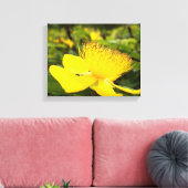 Hypericum Calcyinumキャンバス印刷 キャンバスプリント (インサイチュ (リビング))