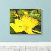 Hypericum Calcyinumキャンバス印刷 キャンバスプリント (インサイチュ (ウッドフロア))