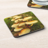 Hypholomaのfasciculareのきのこのプラスチックコースター コースター (左側)