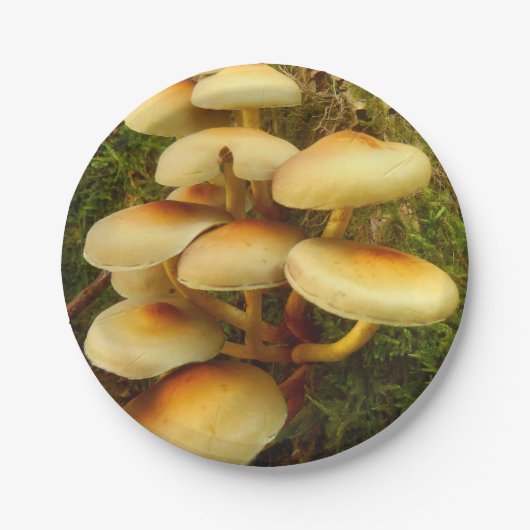 Hypholomaのfasciculareのきのこの紙皿 ペーパープレート (正面)