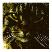 Hypnotizing Cat Digital Art Hypnosis