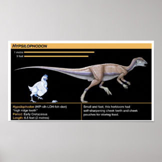 Hypsilophodon - Biology Jurassic Dinosaur Poster ポスター