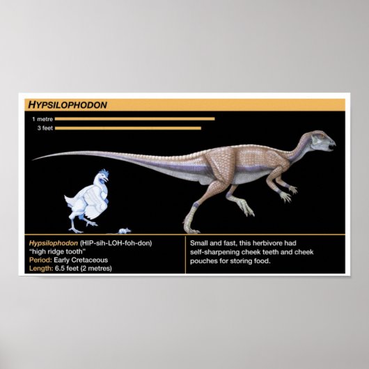 Hypsilophodon - Biology Jurassic Dinosaur Poster ポスター (正面)