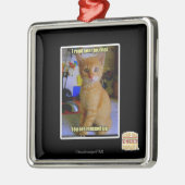 Iつはあなたのジャーナルを読みました メタルオーナメント (左)