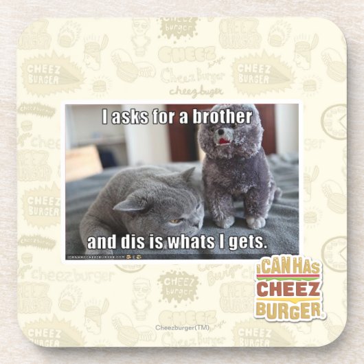 Iつは兄弟を頼みます コースター (正面)