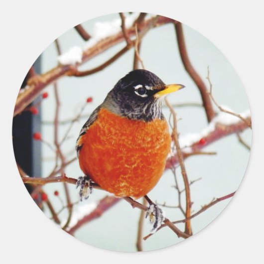 Iシー春 ラウンドシール (正面)