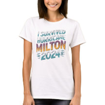 Iハリケ生き延びーンミルトンフロリダ2024年10月