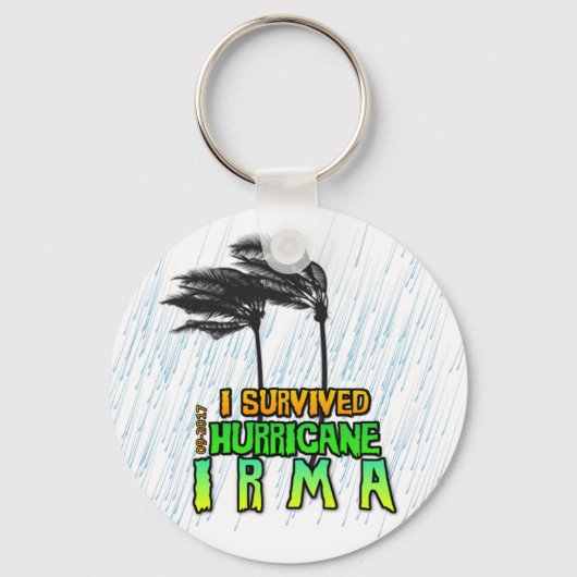 Iハリケ生き延びーン・イルマ キーホルダー (正面)