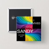 Iハリケ生き延びーン・サンディ2012 缶バッジ (正面&裏面)