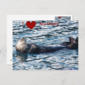 Iハートシーオッターズポストカード ポストカード (正面/裏面)