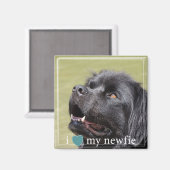 Iハートマイニューファンドランド白縁ど マグネット (正面/裏面)