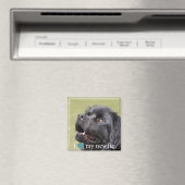 Iハートマイニューファンドランド白縁ど マグネット (インサイチュ (食洗機))