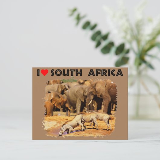 Iハート南アフリカのワルシャワとゾウ ポストカード (スタンド正面)