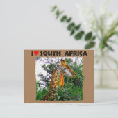 Iハート南アフリカキリン・アロエ ポストカード (スタンド正面)