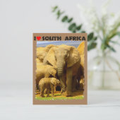 Iハート南アフリカ象の母と子牛 ポストカード (スタンド正面)