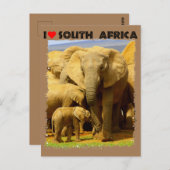 Iハート南アフリカ象の母と子牛 ポストカード (正面/裏面)