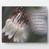 Iペテロ4:13感動的フローラ フォトプラーク (正面)