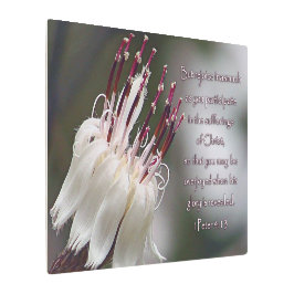 Iペテロ4:13感動的フローラ メタルプリント