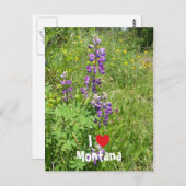 Iラブモンタナ ポストカード (正面/裏面)