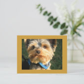 Iラブヨークシャーテリア ポストカード (スタンド正面)