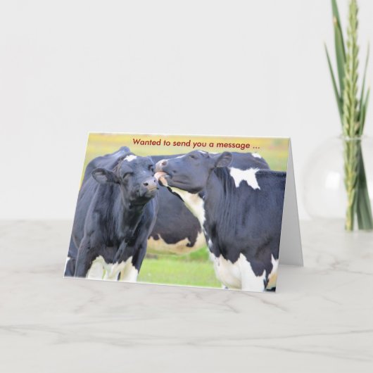 I愛する牛グリーティングカード カード (正面)