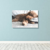 I昼寝❤️プードル キャンバスプリント (インサイチュ (ウッドフロア))