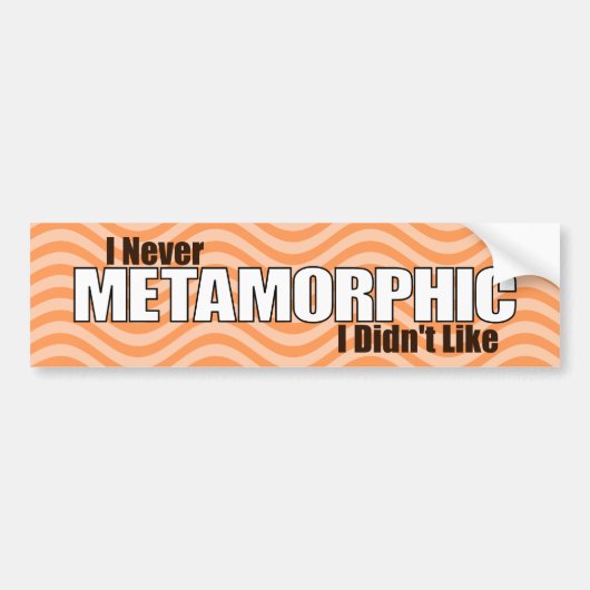 I決して変性私は好みませんでした(オレンジ) バンパーステッカー (正面)