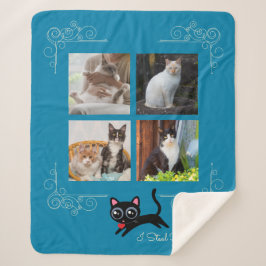 I盗むハートカスタム写真 シェルパブランケット