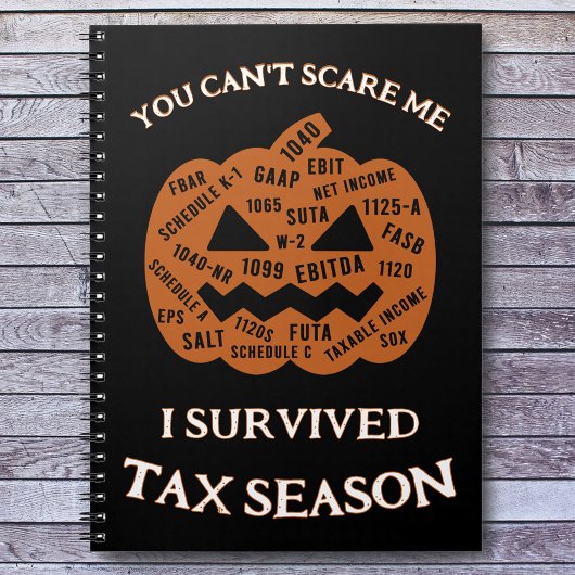 I税生き延び期スパイラル ノートブック