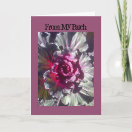 I芸術およびデザインのキャベツ花の秋カード シーズンカード