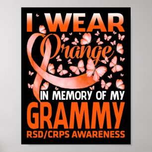 I衣服オレンジMy Grammy RSD CRPS認識度 ポスター