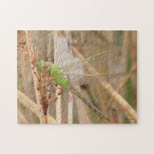 I1グリーントンボ ジグソーパズル (横)