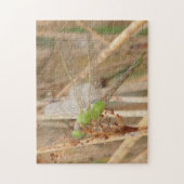 I1グリーントンボ ジグソーパズル (縦)