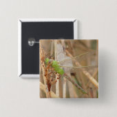 I1 緑のトンボ 缶バッジ (正面&裏面)