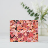 I ❤カナダ ポストカード (スタンド正面)