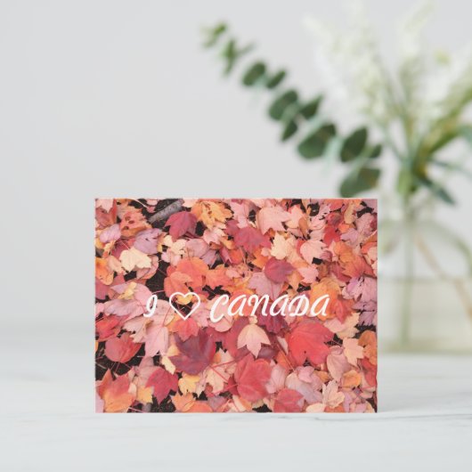 I ❤カナダ ポストカード (スタンド正面)