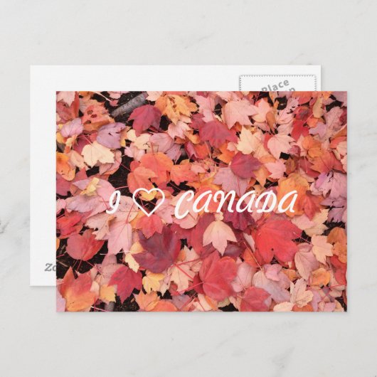 I ❤カナダ ポストカード (正面/裏面)